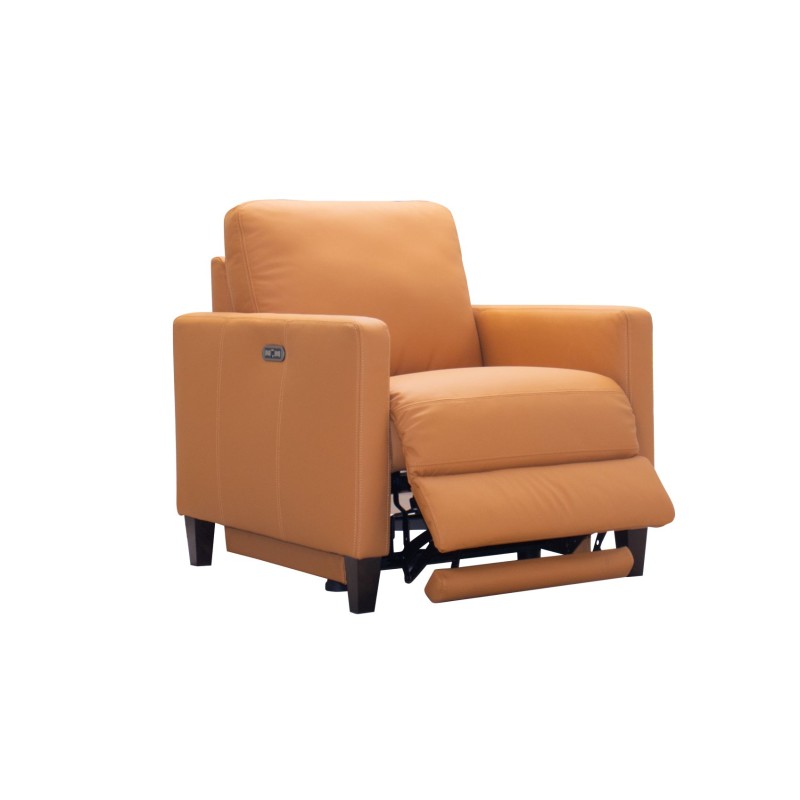 Athens Power Recliner in L8039 Leather