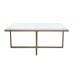 RK-36334G Square Coffee Table - Gold Finish